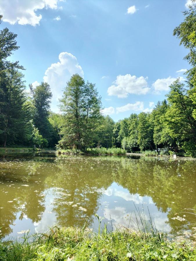 Les Capucines La Souris Des Champs Leilighet Étival-Clairefontaine Eksteriør bilde